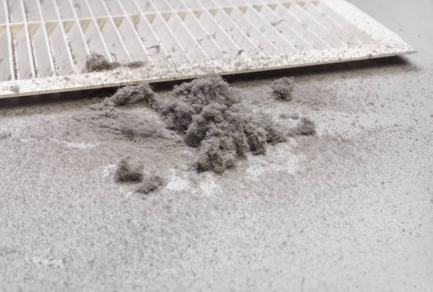 Best Professional Duct Cleaning Services  in Smithville Sanders, IN