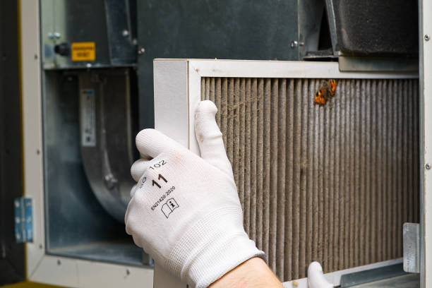 Best Air Duct Mold Removal  in Smithville Sanders, IN